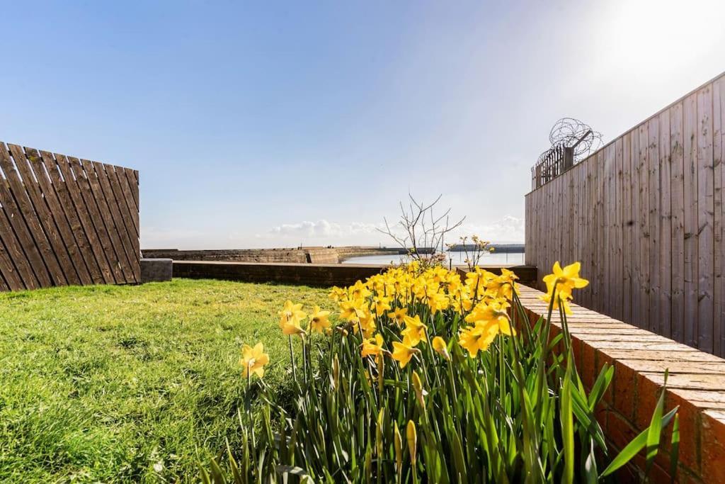 Stunning Ground Floor Hartlepool Marina Apartment Екстер'єр фото